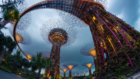 Gardens by the Bay