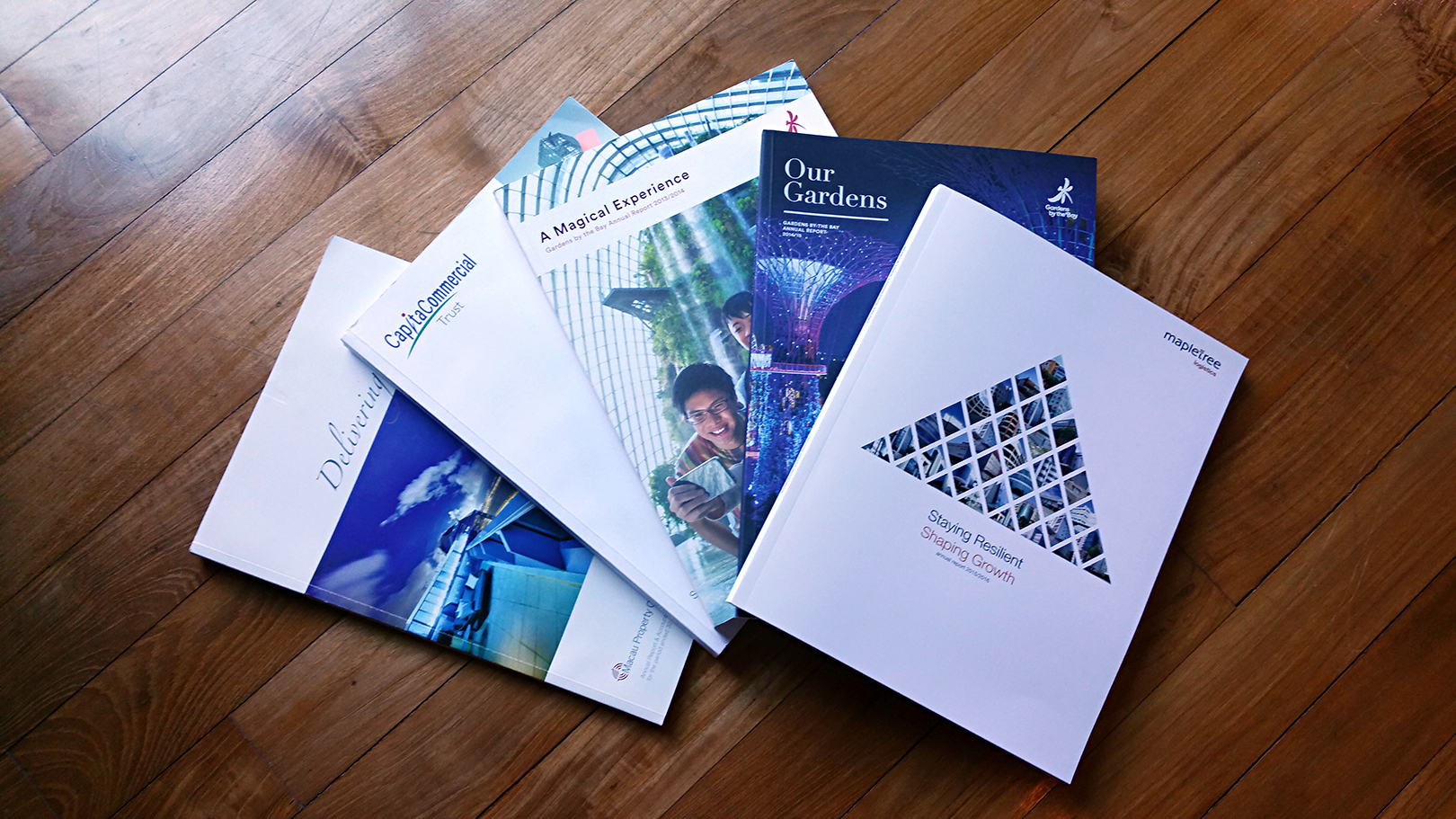 Portfolio - Annual Reports